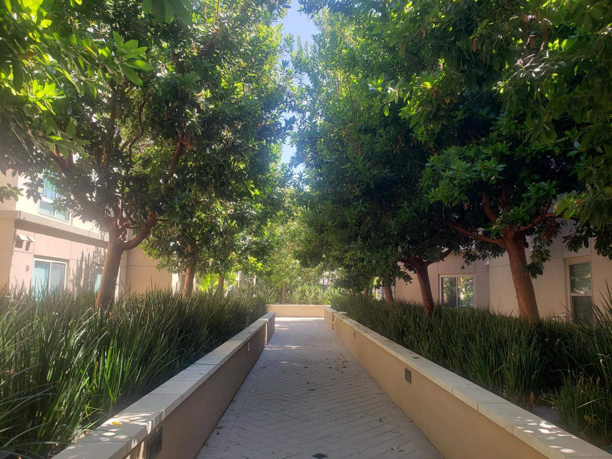 Apartamento Penthouse Dreams Irvine Exterior foto
